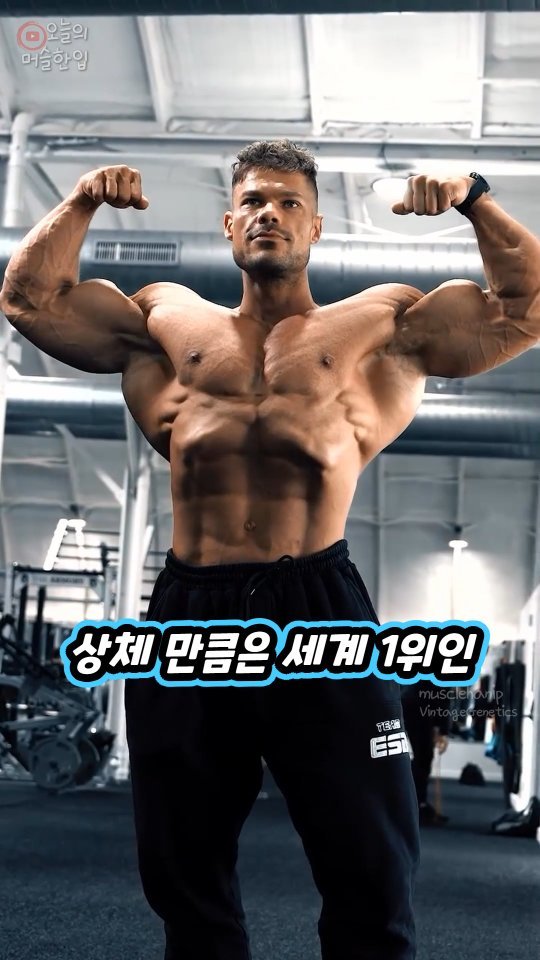 musclehanip 게시물 이미지: ‘상체근육’ 폭발적으로 늘려주는 개꿀템 3가지
< 상체운동 개꿀템 3가지 구매...