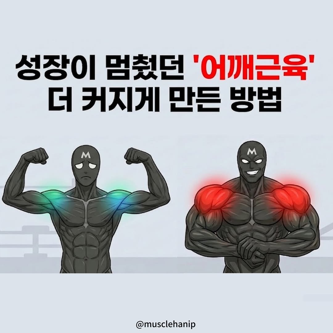 musclehanip 게시물 이미지: 📌 댓글에 "어깨" 두 글자만 남겨 주세요!
그럼 제품 정보 DM으로 1초만에...