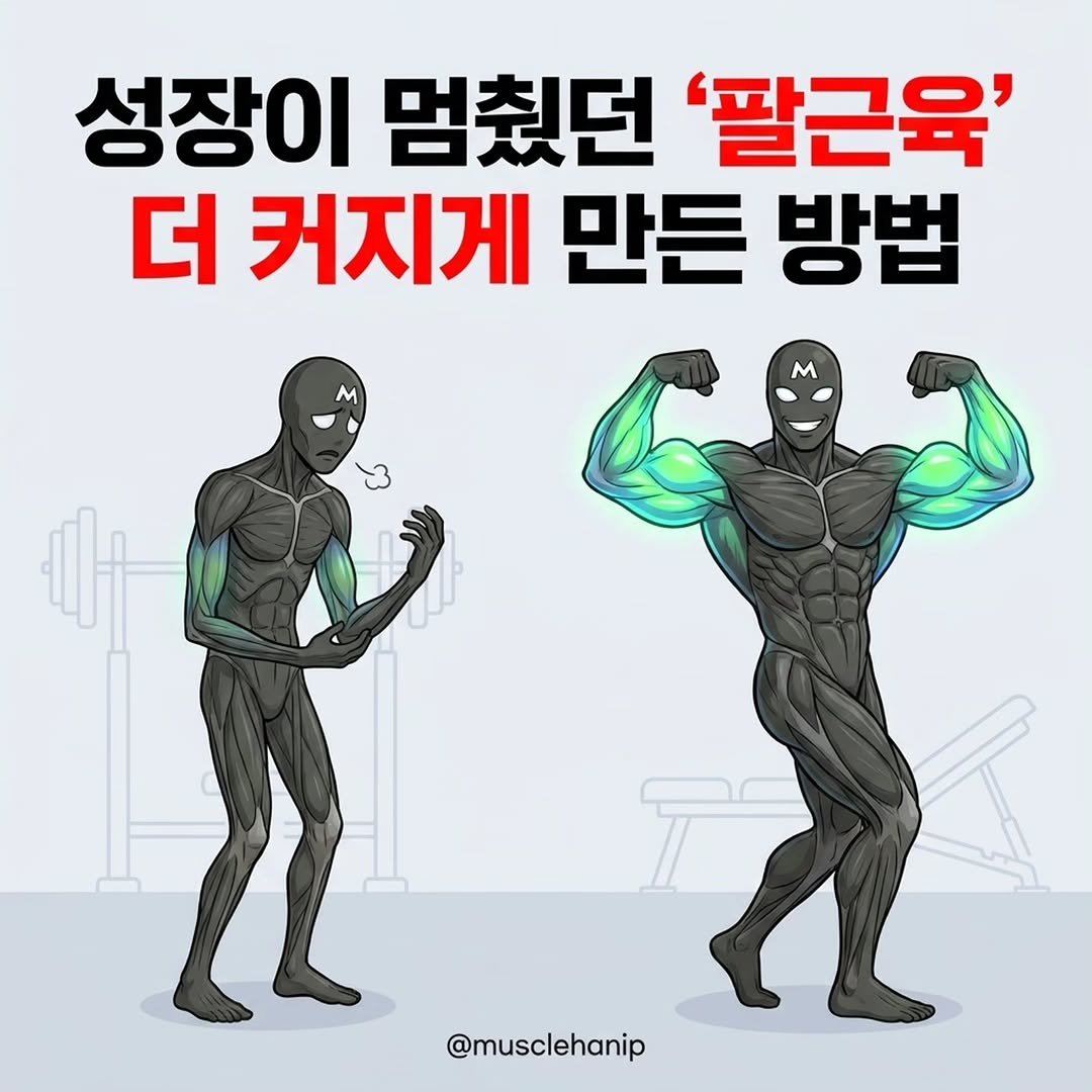 musclehanip 게시물 이미지: 📌 댓글에 아무 글자 남겨 주세요. DM으로 1초만에 '최저가 존맛 닭가슴살 정보'...