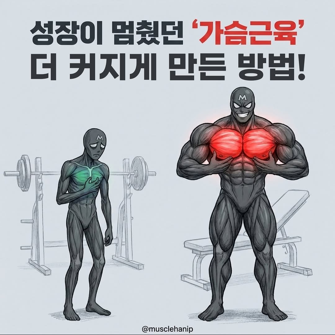 musclehanip 게시물 이미지: 🚀 15년 경력 보디빌더가 증명한 가슴 '폭발 성장' 루틴!

🔥 상부부터 하부까지...