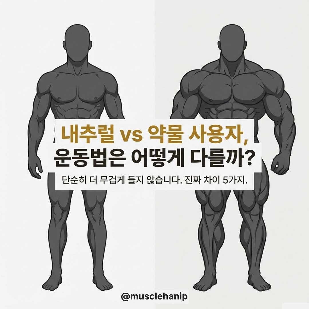 Photo by 오늘의 머슬한입 on December 30, 2025. May be an image of one or more people, biceps, people bodybuilding and text that says '내추럴 vs 약물 사용자, 운동법은 어떻게 다를까? 단순히 더 무겁게 들지 않습니다. 진짜 차이 5가지 @musclehanip'.