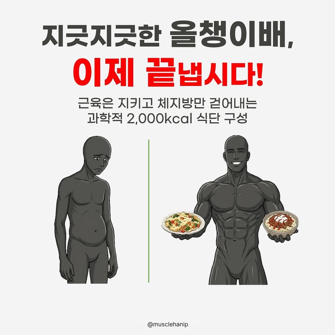 Photo by 오늘의 머슬한입 on January 03, 2026. May be an image of text that says '지긋지긋한 올챙이배, 이제 끝냅시다! 근육은 지키고 체지방만 걷어내는 과학적 2,000kcal 식단 구성 @musclehanip'.