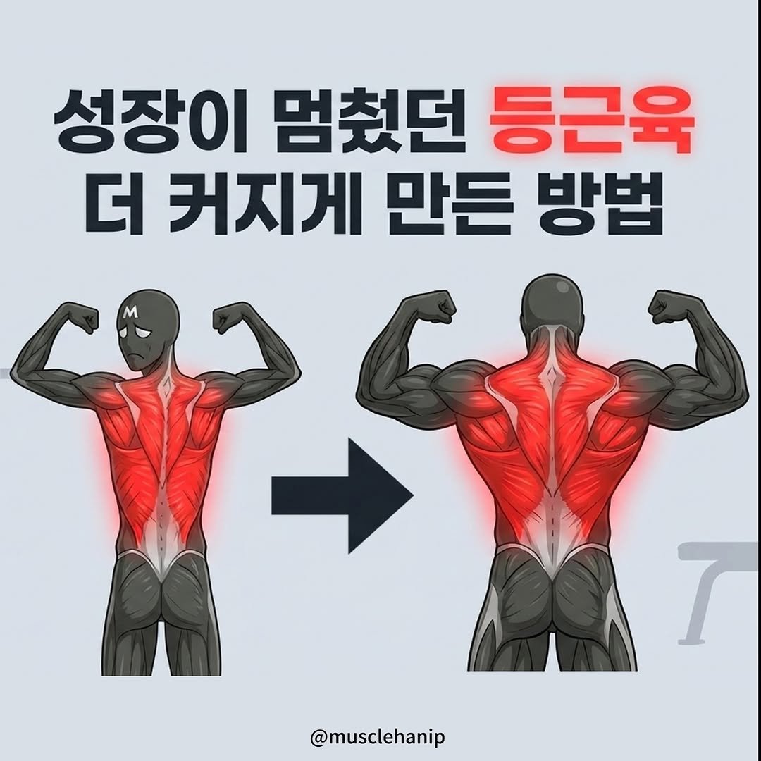 musclehanip 게시물 이미지: 📌 댓글에 "스트랩" 세 글자만 남겨 주세요!
그럼 제품 정보 DM으로 1초만에...