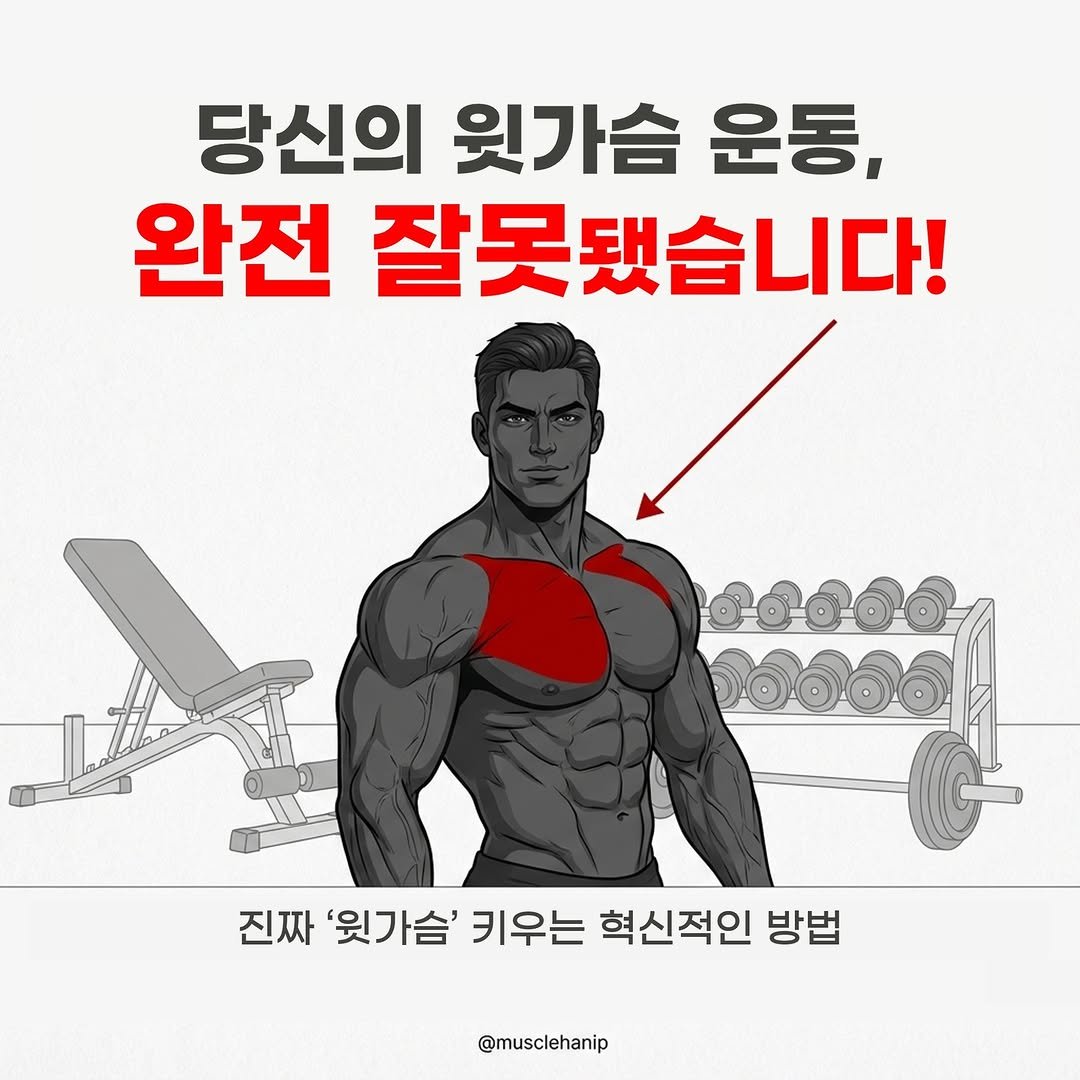 Photo by 오늘의 머슬한입 on January 05, 2026. May be an image of body building, poster and text that says '당신의 윗가슴 운동, 완전 잘못됐습니다! 진짜 '윗가슴' 키우는 혁신적인 방법 @musclehanip'.