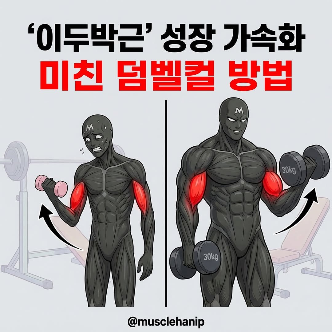 musclehanip 게시물 이미지: 📌 댓글에 "이두" 두 글자만 남겨 주세요!
그럼 근성장 도우미 정보 DM으로...