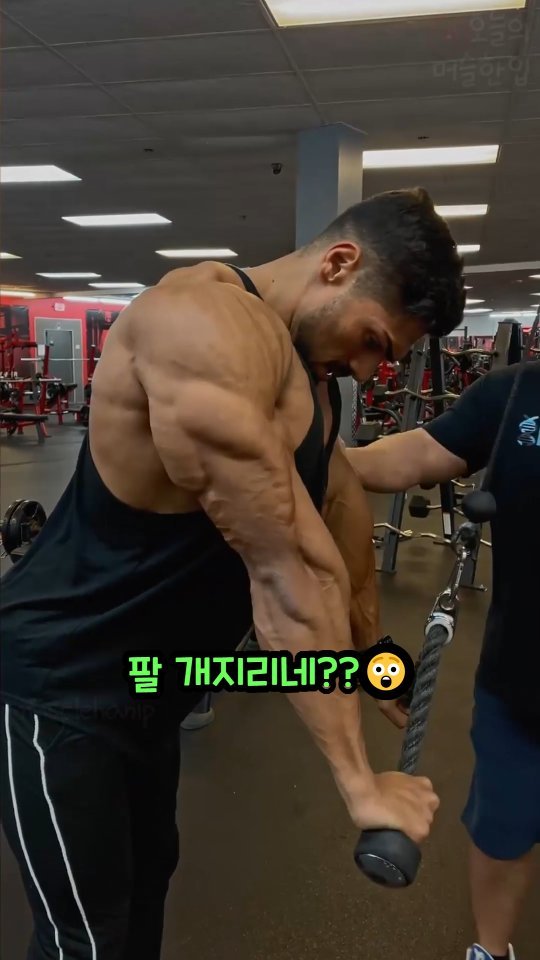 musclehanip 게시물 이미지: 와.. 이렇게 팔뚝 20cm 늘렸구나..ㄷㄷ