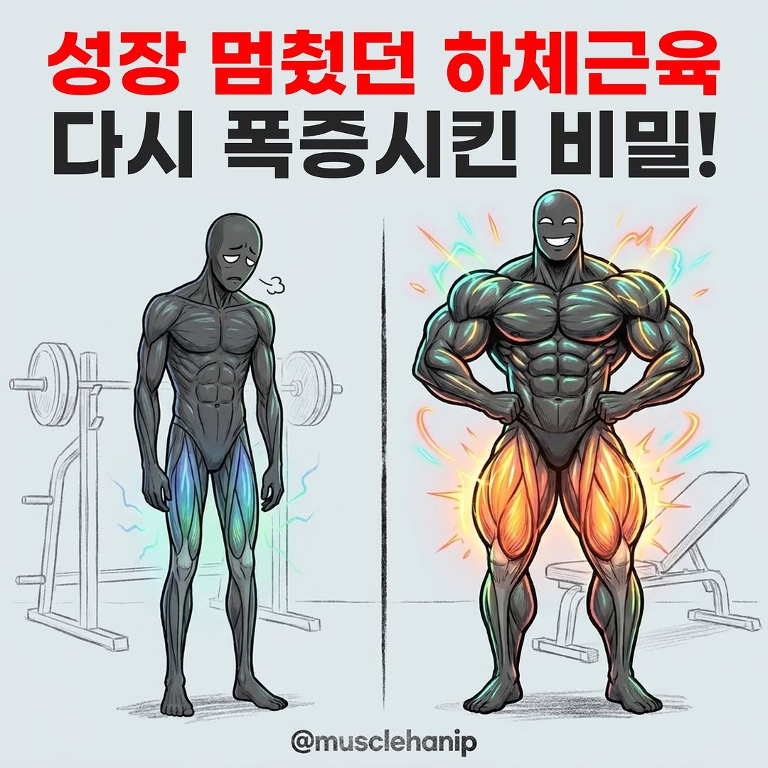 musclehanip 게시물 이미지: 📌 댓글에 '마프' 두 글자만 남겨 주세요. 그럼 DM으로 1초만에 '추가 할인...
