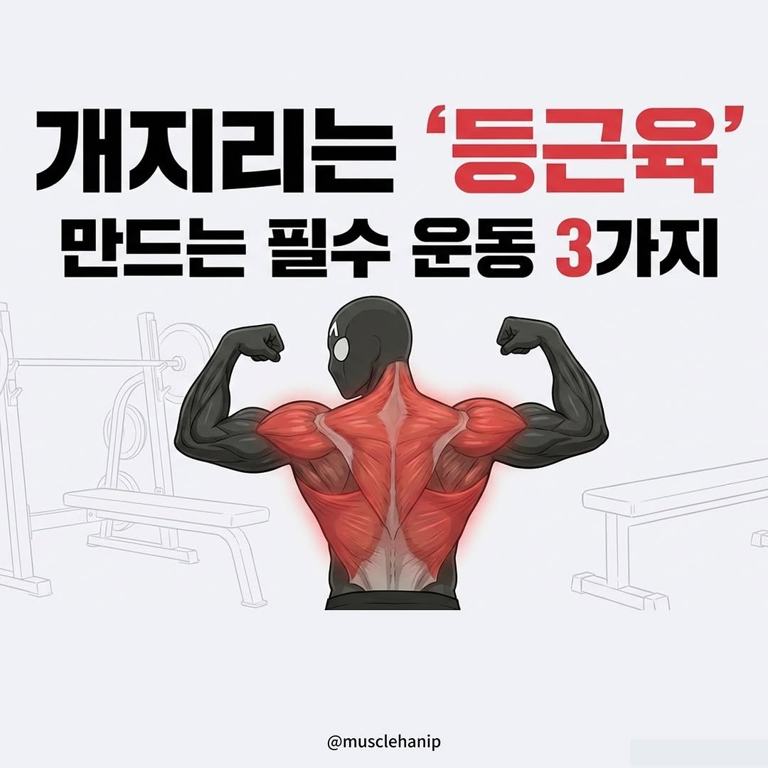 Photo by 오늘의 머슬한입 on February 07, 2026. May be an image of body building, sports equipment, poster and text that says '개지리는 '등근육' 만드는 필수 운동 3가지 @musclehanip'.