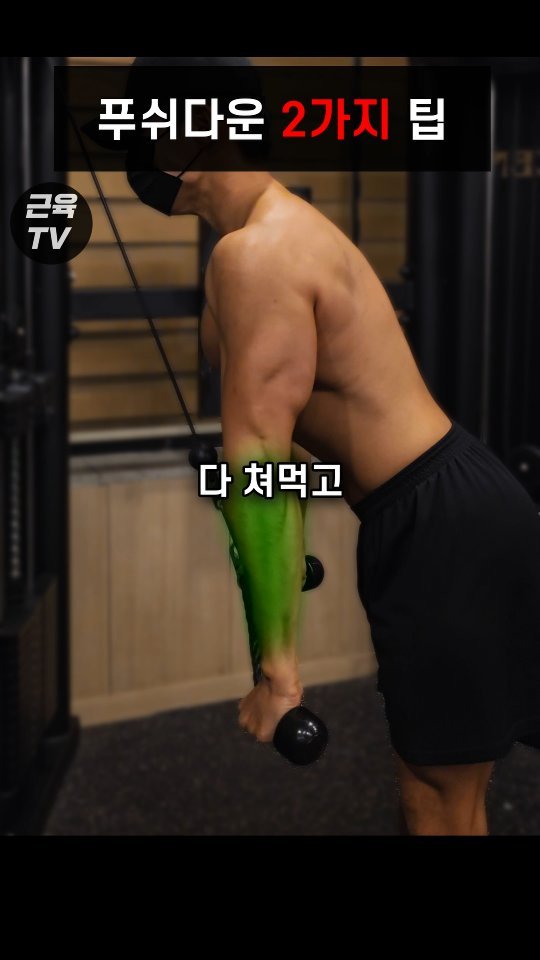 muscletv_ 게시물 이미지: 전완근 다 쳐먹기 vs 삼두만 먹기(푸쉬다운) #푸쉬다운 #삼두운동 #헬스 #운동 #근육TV