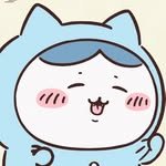 shrimp_acg 프로필 사진