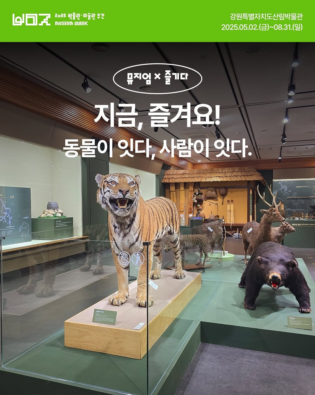 Photo by 박물관·미술관 주간 𝗠𝘂𝘀𝗲𝘂𝗺 𝗪𝗲𝗲𝗸 on August 18, 2025. May be an image of tiger and lego.