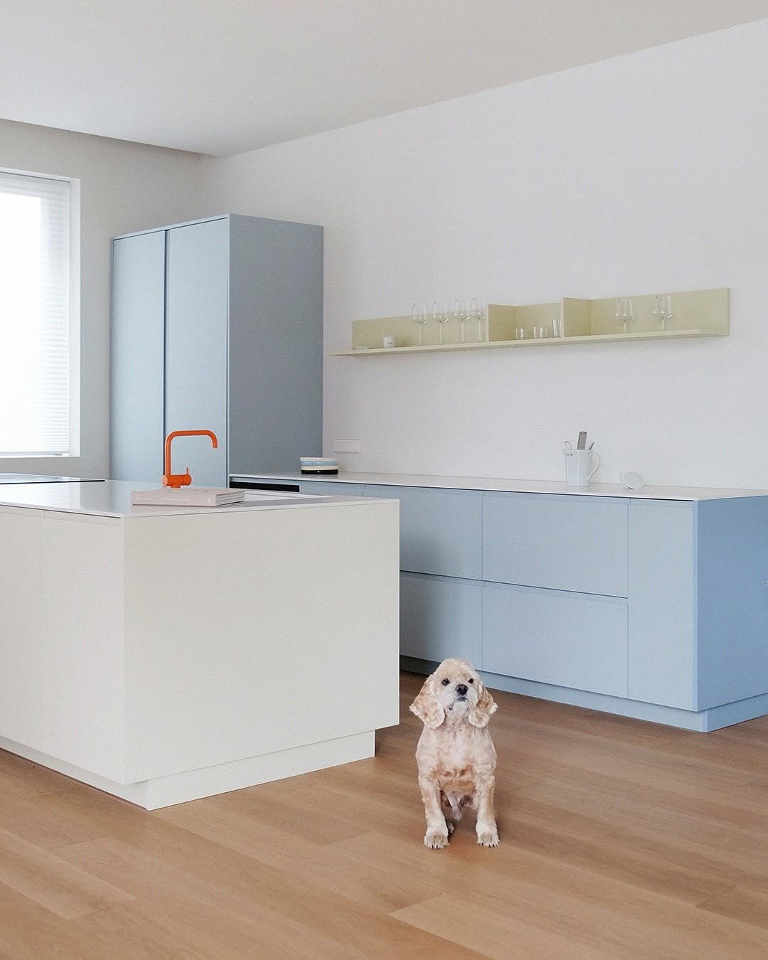 museumofmodernkitchen 게시물 이미지: MMK Kitchen
𝗣𝗮𝗿𝗮𝗹𝗹𝗲𝗹 𝗧𝘆𝗽𝗲
: 평행형 키친 타입...