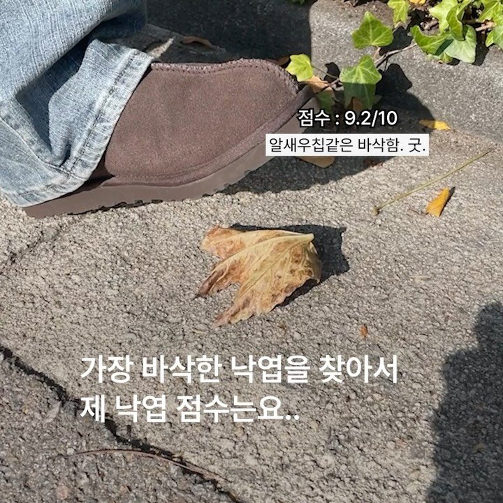 musinsa.official 게시물 이미지: 바삭 낙엽의 최고 권위자를 골라주세요

요즘 유행하는 낙엽 점수 매기기! 낙엽이...