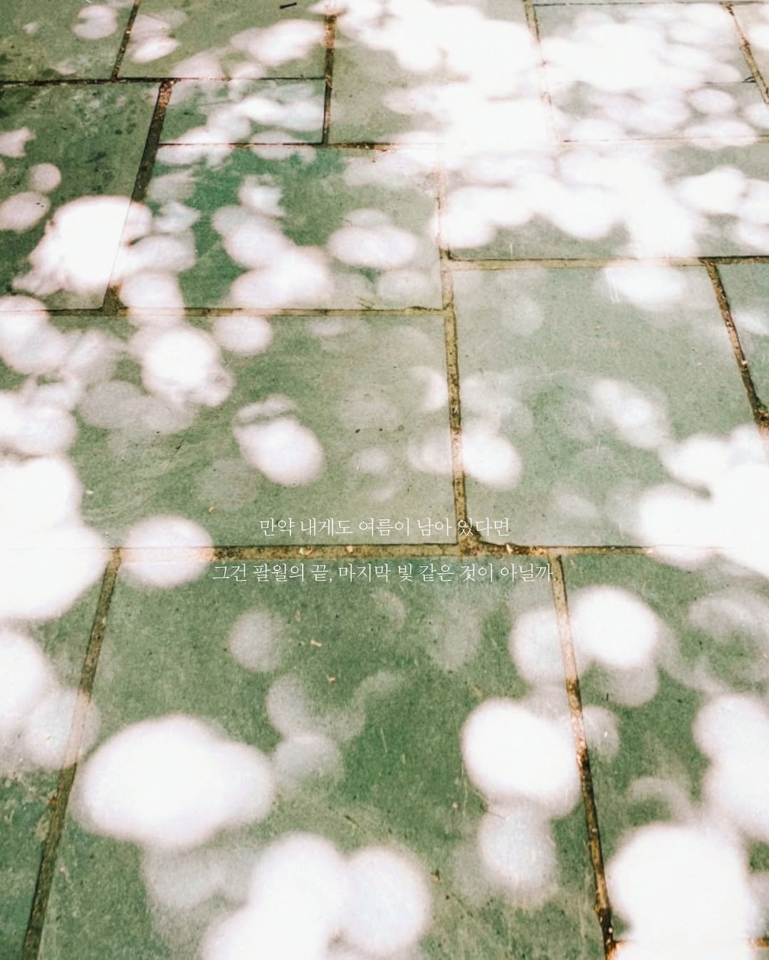 Photo by 무슨서점 | 연남동서점 on August 02, 2025. May be an image of text.