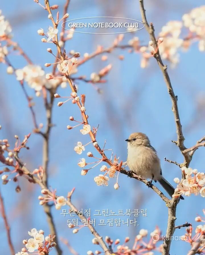 musn_books 게시물 이미지: 【 2026年 5月 - 그린노트북클럽 】 

『기술된 사랑, 그 기술된 사랑에는...
