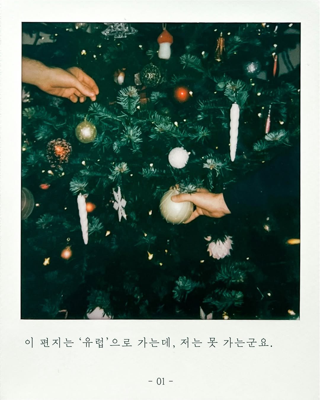 Photo shared by 무슨서점 | 연남동서점 on December 25, 2025 tagging @hyunnn_jung. May be an image of polaroid, christmas tree, tinsel and text.