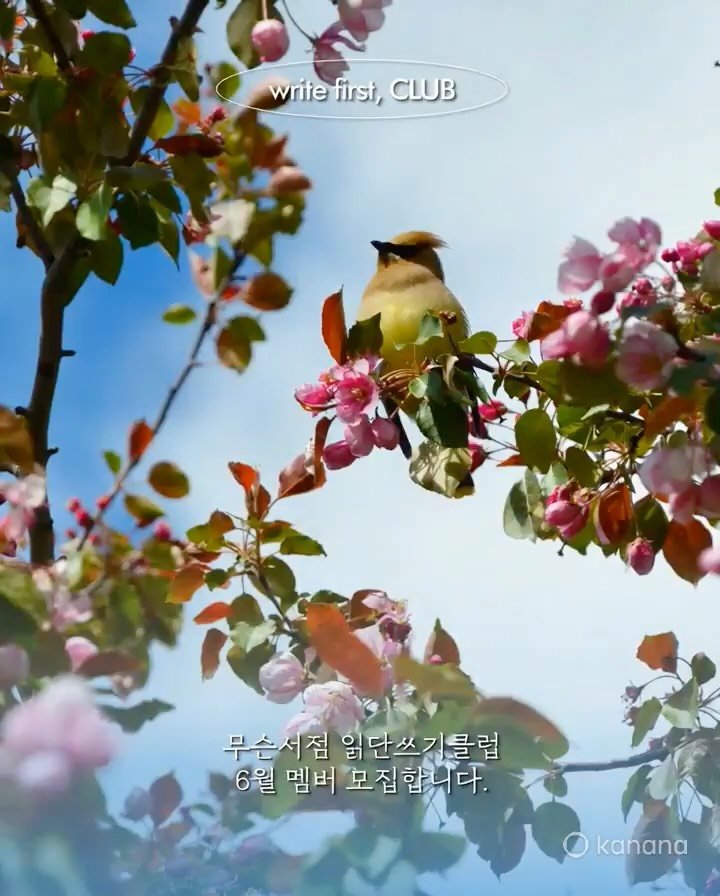musn_books 게시물 이미지: 【 2026年 6月 - 읽단쓰기클럽 】 

『 루시는 내 가장 친한 친구였고,...