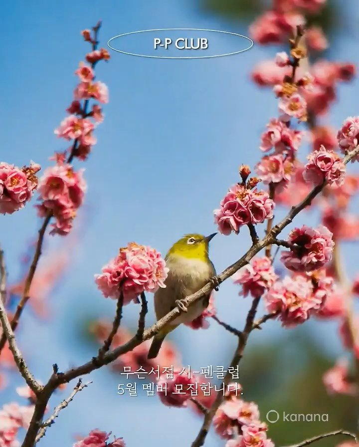 musn_books 게시물 이미지: 【 2026年 5月 - 시-펜클럽 】 ⠀⠀⠀⠀
⠀⠀⠀⠀
『물론 시간이든 나이든 제...