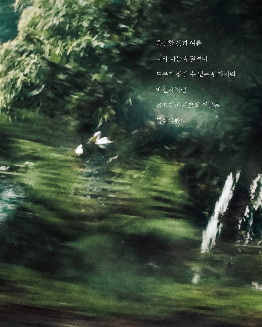 Photo by 무슨서점 | 연남동서점 on August 02, 2025. May be an image of outdoors and text that says '혼질할듯한여름 혼 혼질할 듯한 여름 너와 나는 부딪쳤다 도무시 섞일 수 없는 도무지식일수없는원사처럼 원자처럼 배신자처림 물꼬리미 서로의 얼굴을 들어다봤다'.