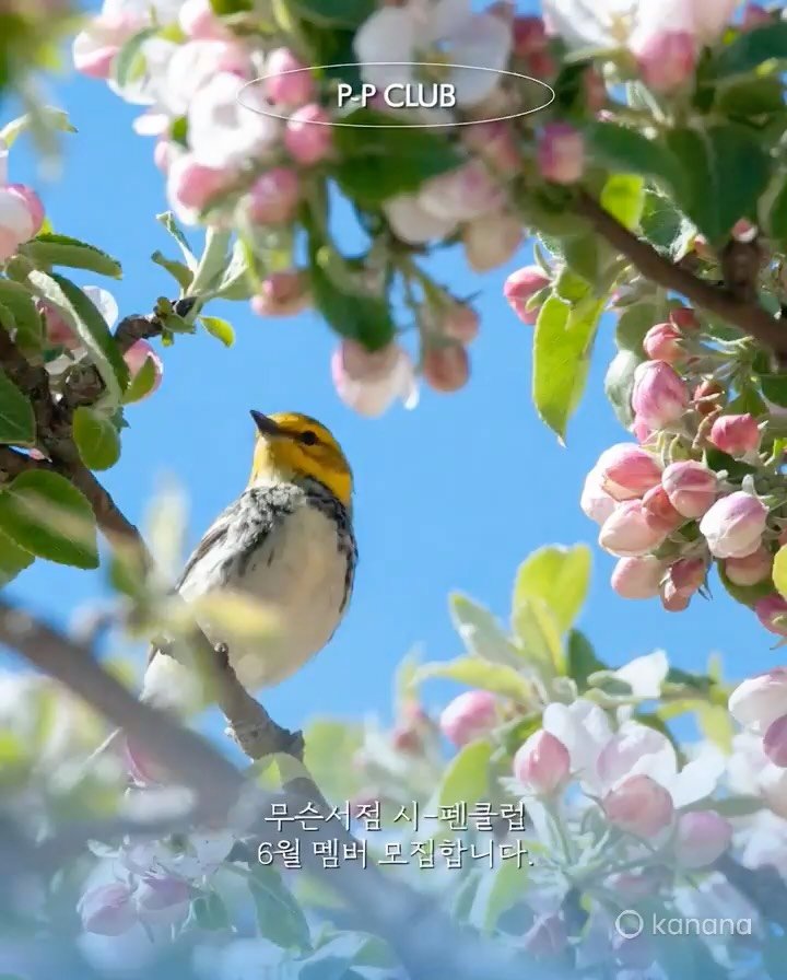 musn_books 게시물 이미지: 【 2026年 6月 - 시-펜클럽 】 ⠀⠀⠀⠀
⠀⠀⠀⠀
『 윌리엄 H. 개스는,...