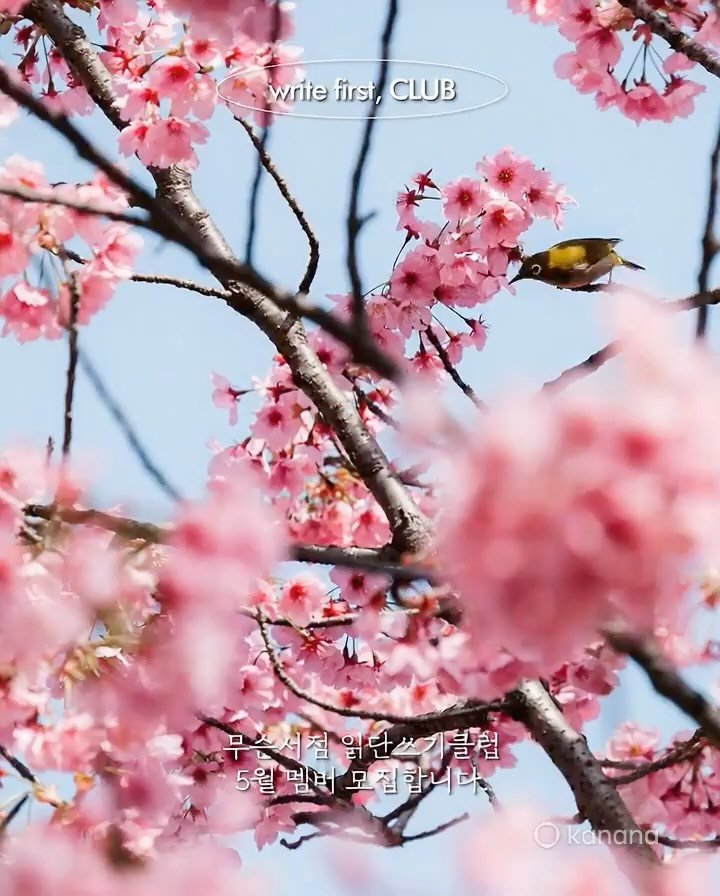 musn_books 게시물 이미지: 【 2026年 5月 - 읽단쓰기클럽 】 

『그때의 나를 발견한 건, 지금의...