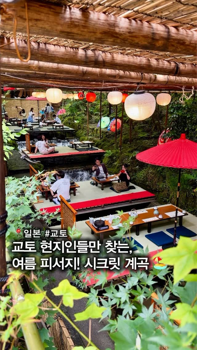 musteat_official 게시물 이미지: 교토 현지인들의 여름 피서지 🌿
교토의 여름을 가장 시원하게 즐길 수 있는...
