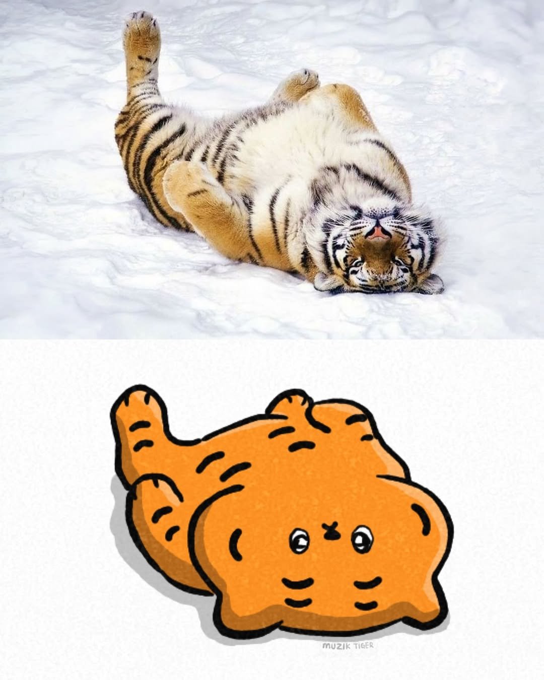 muziktiger 게시물 이미지: 나도 호랑이 인증🐯

#크앙🔥 #호랑이 #tiger #muziktiger