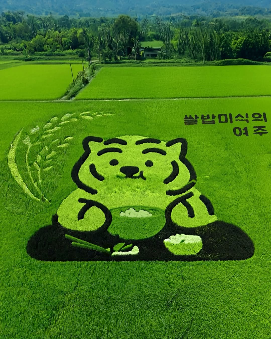 Photo shared by MUZIKTIGER 무직타이거 on July 14, 2025 tagging @muziktiger. May be an image of bear and grass.