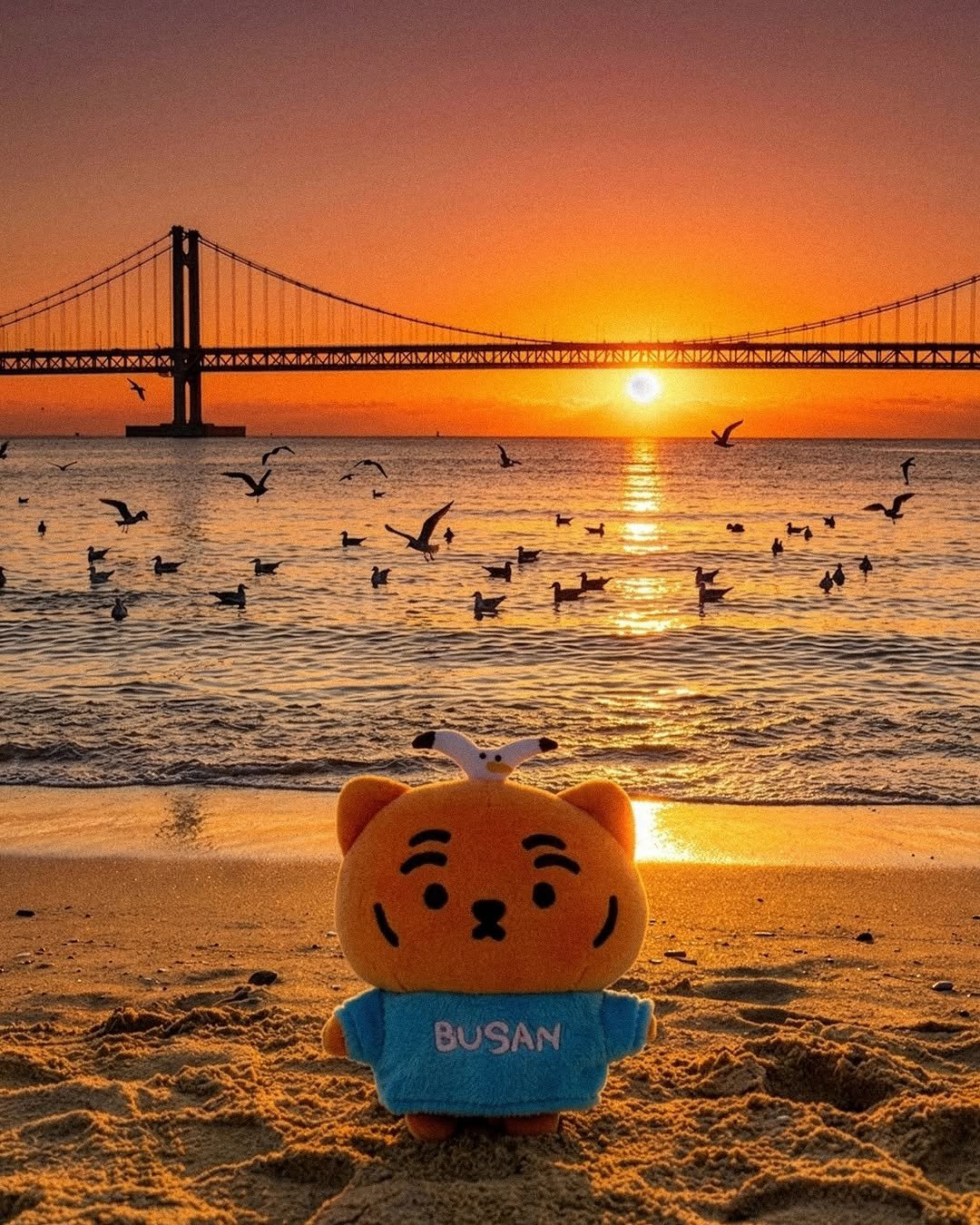 Photo by MUZIKTIGER 무직타이거 on February 11, 2026. May be an image of text.