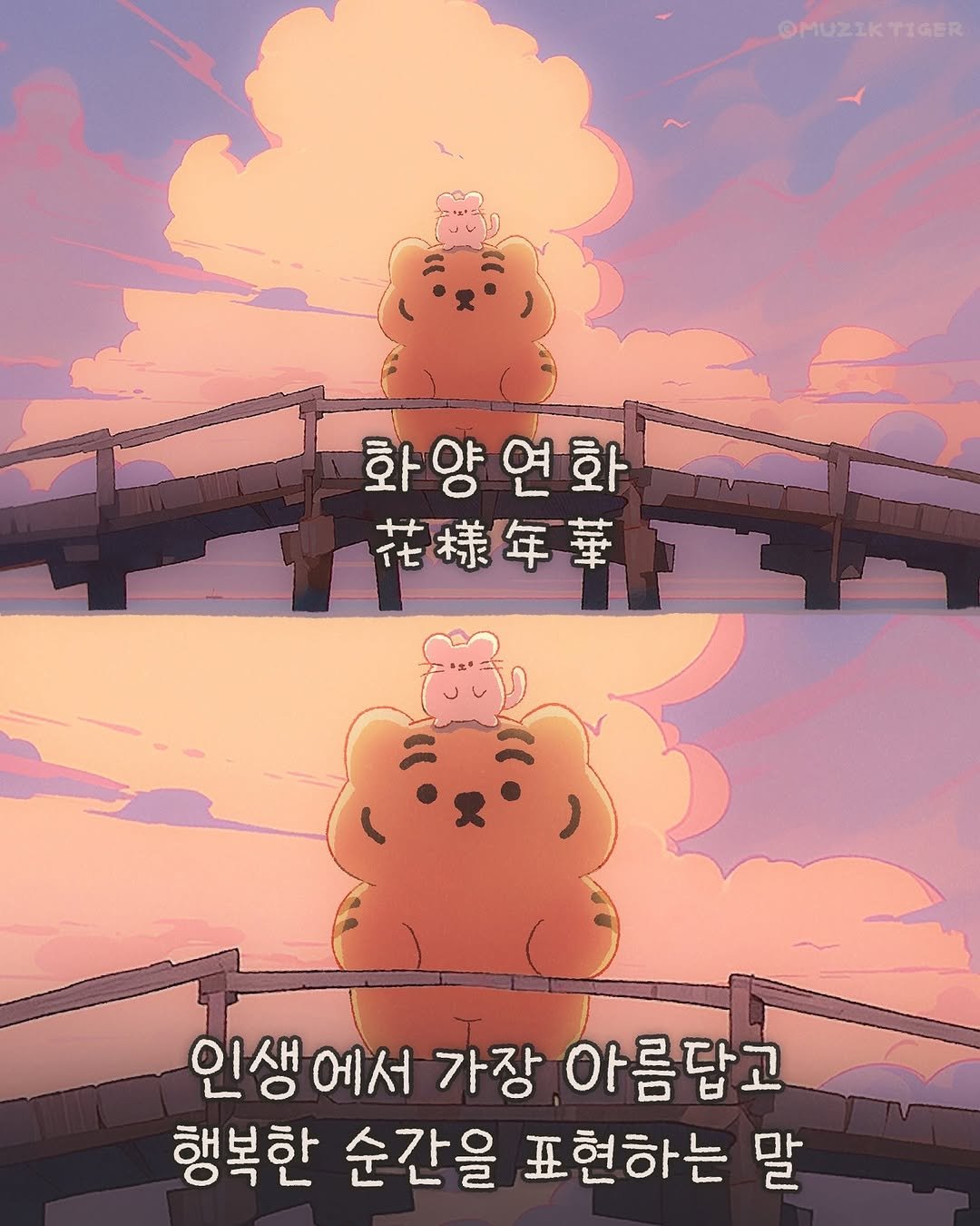 Photo shared by MUZIKTIGER 무직타이거 on September 27, 2025 tagging @muziktiger. May be a doodle of outdoors and text that says 'OMUZIKTIGER 화양연화 연화 화양 花樣年華 인생 에서 가장 아름답고 행복한 순간을 표현하는 말'.