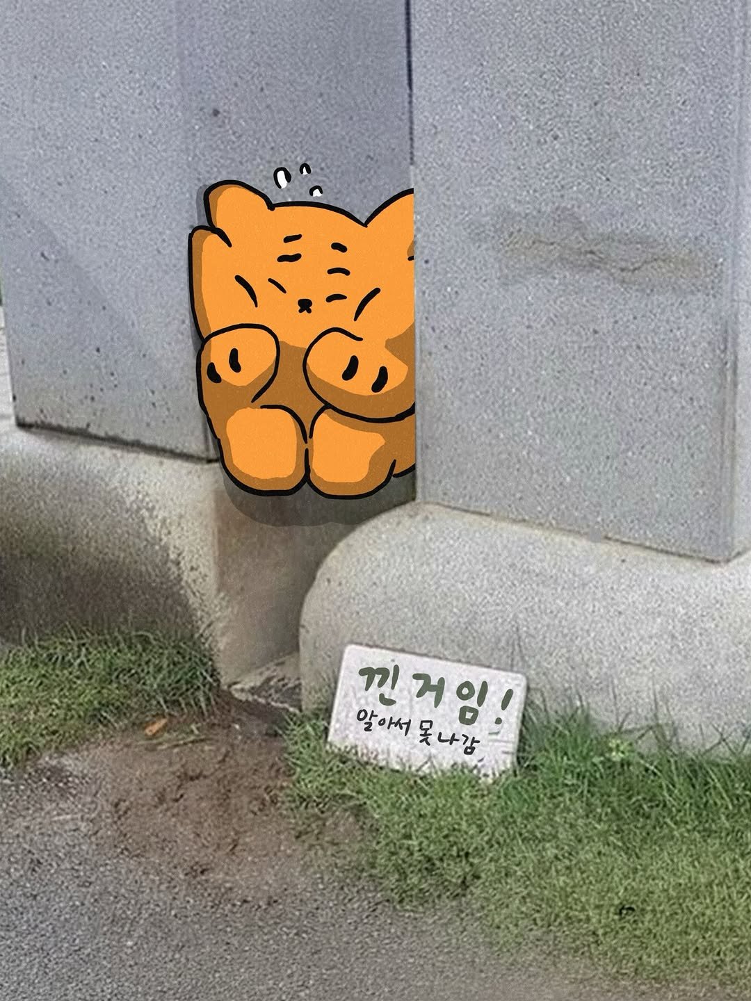 muziktiger 게시물 이미지: 살려주세여🐯💦

#나살쪘어? #muziktiger