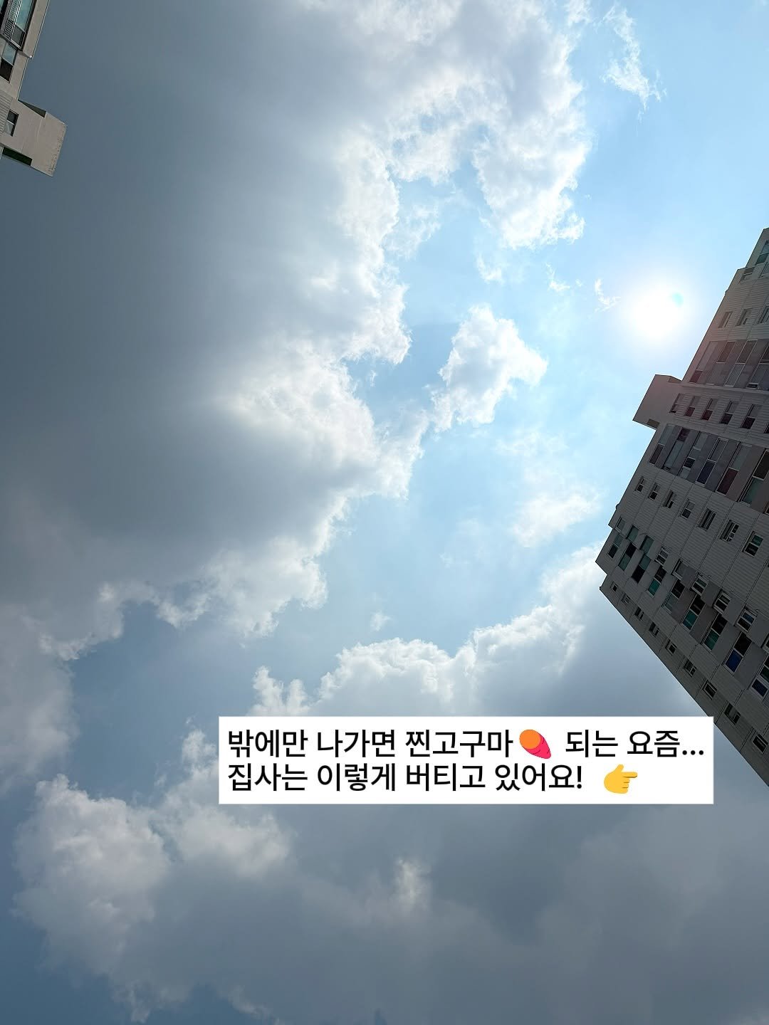 Photo by 살림하는 무집사👩🍳 on July 29, 2025. May be an image of cloud and text that says '밖에만 나가면 찐고구마 되는 요즘... 집사는 이렇게 버티고 있어요!'.