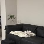 kongsoon_home 프로필 사진