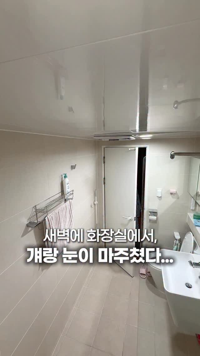 muzipsa_home 게시물 이미지: 여름 오기 전에 이건 꼭! #알림댓글 💬
덩치는 산⛰  만하지만 세상에서
벌레를...