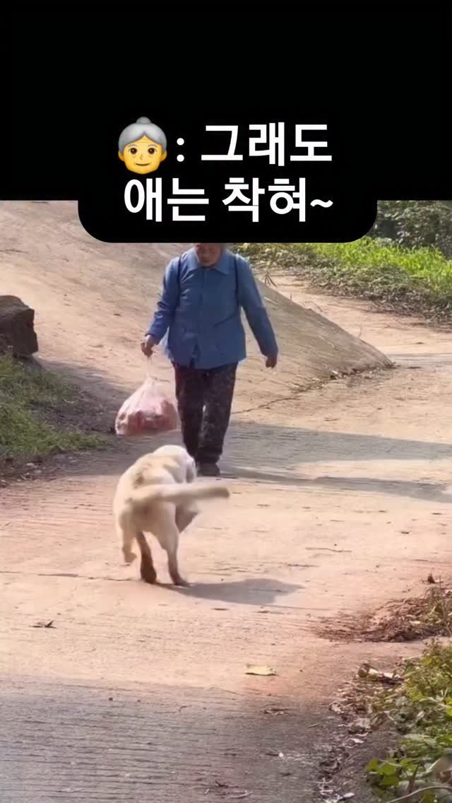 mw_yeonju 게시물 이미지: 할무니 내가 도와줄게!!
