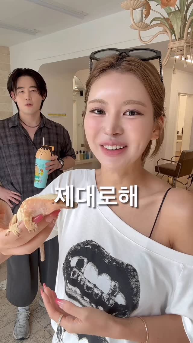 my.o_ 게시물 이미지: 인호실장님이 주신 묘꾸롱 자랑시간 .. 
우리묘꾸롱 귀엽져..🦎🦎🦎

어덴비 곧...