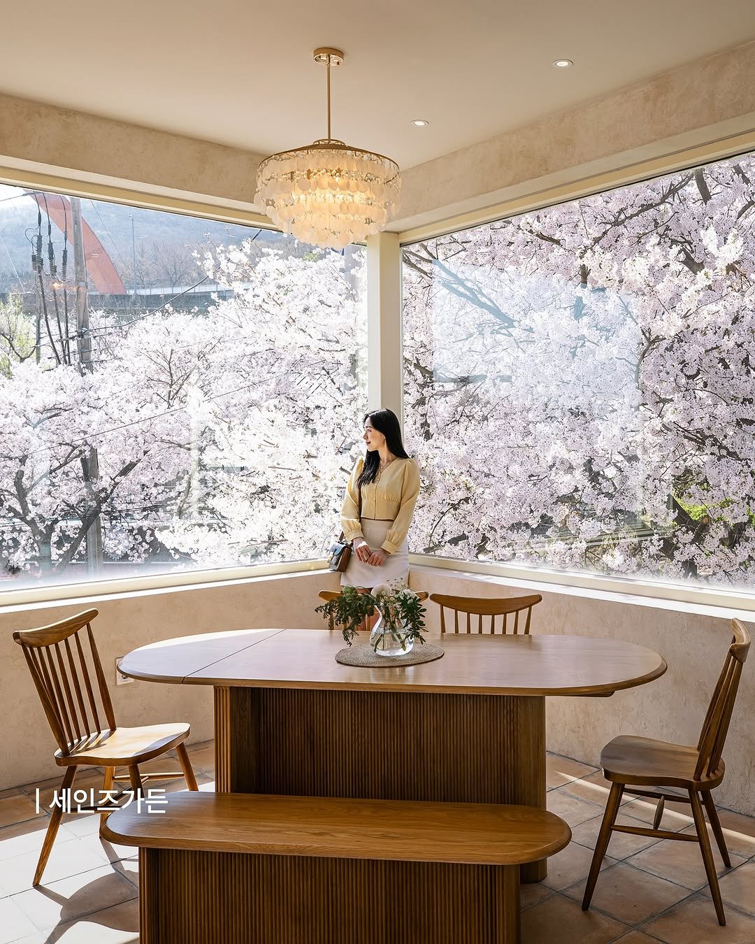 Photo shared by 마이시즌｜미식 공간 소개 on March 02, 2025 tagging @my_season___. May be an image of 1 person, dining table, stone-fruit tree, indoors and text.