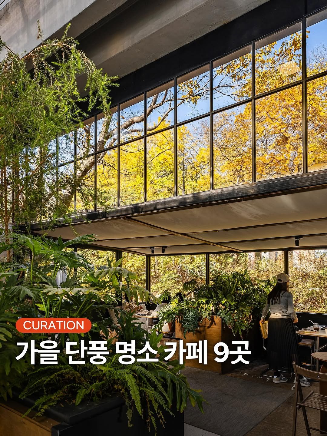 Photo shared by 마이시즌｜미식 공간 소개 on September 25, 2025 tagging @cafe_sanare, and @my_season___. May be an image of 1 person, outdoors and text that says 'CURATION 가을 단풍 명소 명소카페9곳 카페 9곳'.