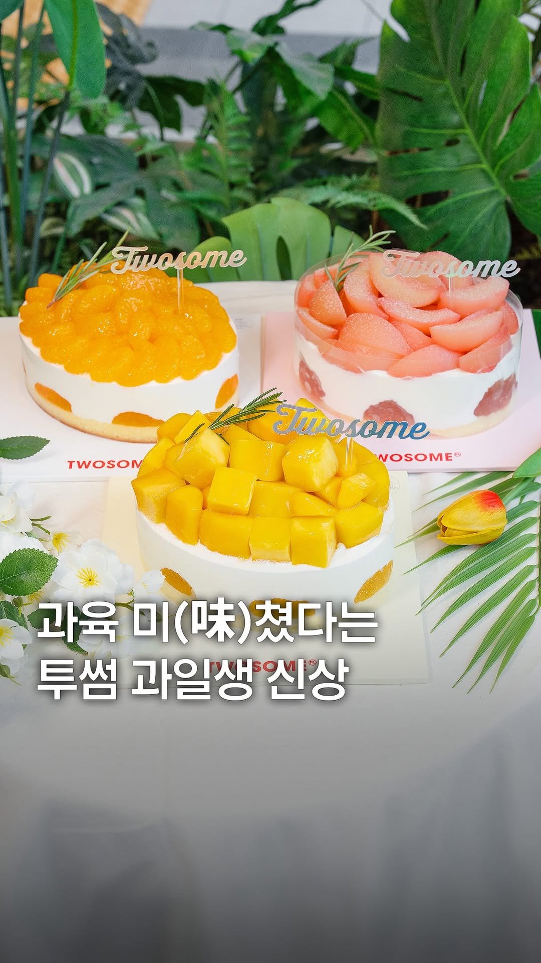 my_season___ 게시물 이미지: #광고 토핑 쏟아진다는 투썸 대표 과일생 케이크 컴백 🍰✨

리뉴얼 된 과일생...