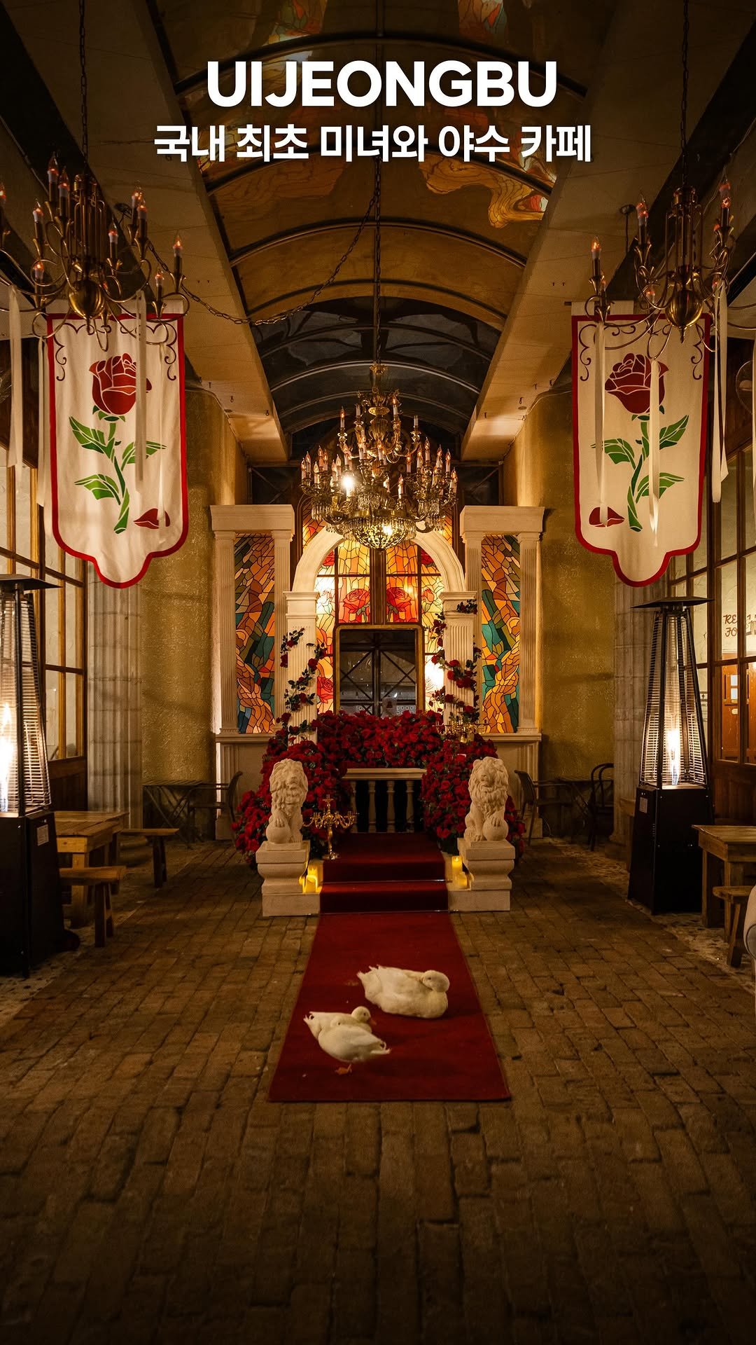 my_season___ 게시물 이미지: 국내 최초 미녀와 야수 카페 

국내 최초로 미녀와 야수 컨셉의 카페가 문을...