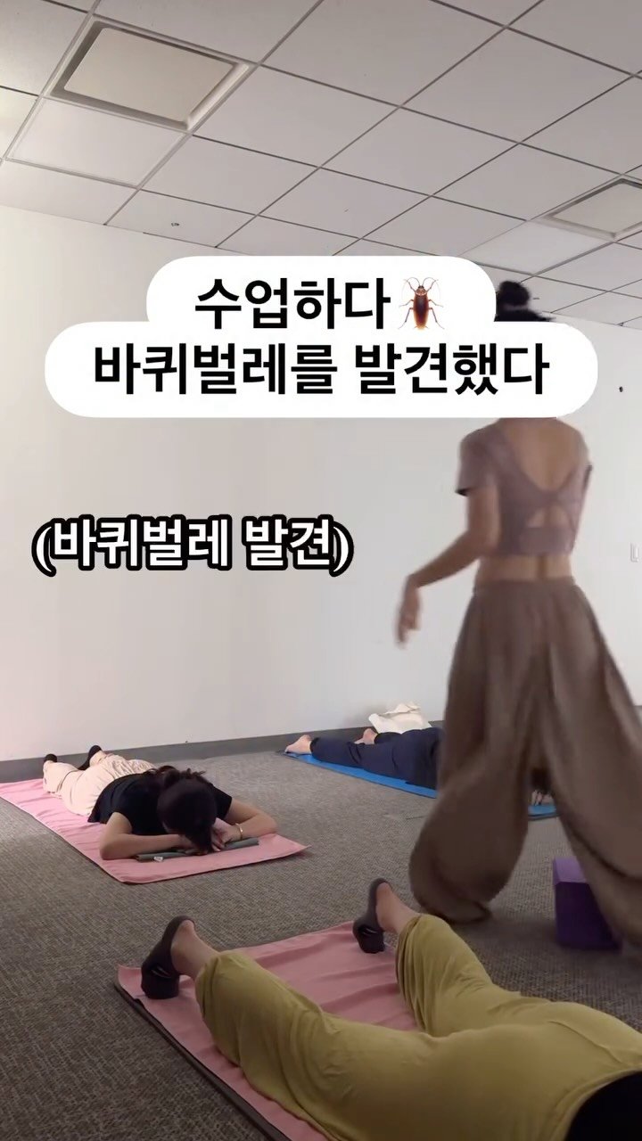 my_sunnyoga 게시물 이미지: 난 어른이니까 이겨내...🥹

벌레를 잘잡는 사람이지만 바선생님은 여전히...