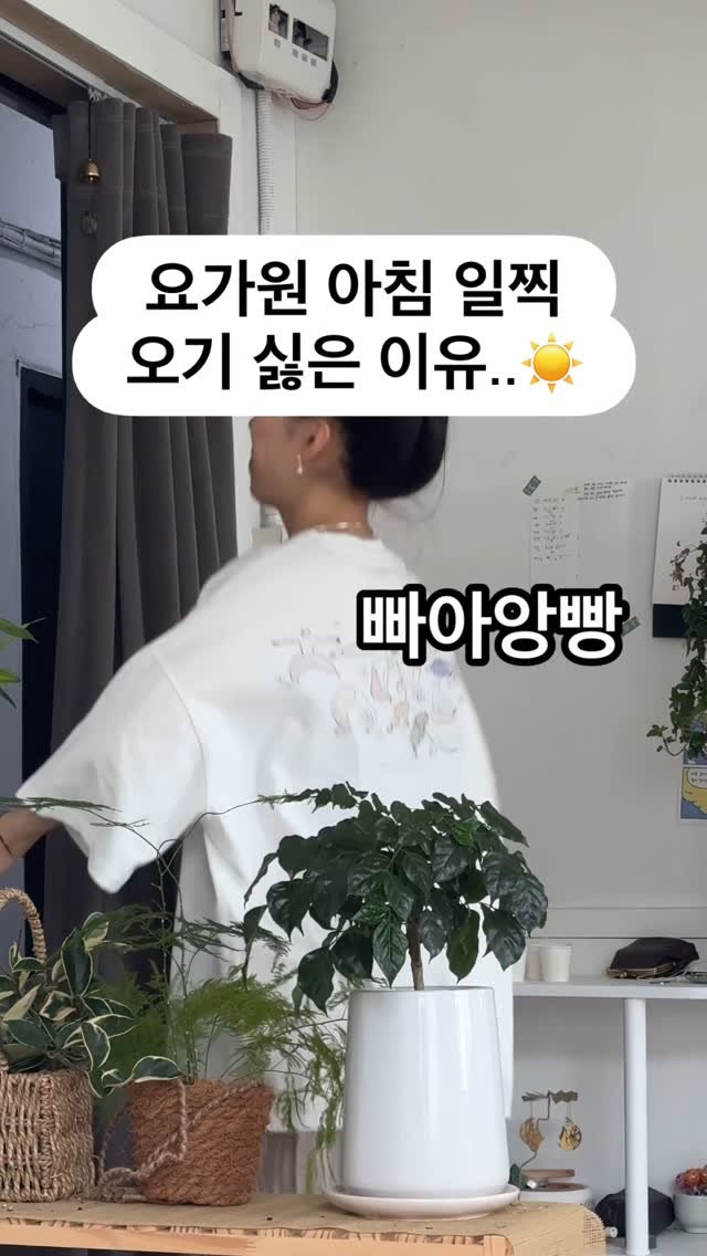 my_sunnyoga 게시물 이미지: 벌칙아니에오..💦

우리의 변비와 면역력과 맑은 피부를 위해! 최근 올리브유와...