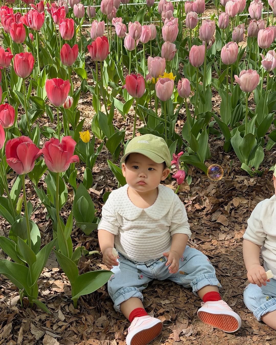 my_uoouoo 게시물 이미지: 지나가는 사람들 사랑 듬뿍 받던 나들이 🌷
엄빠가 다녀본 봄 중에 제일 행복했오 또 가쟈 !