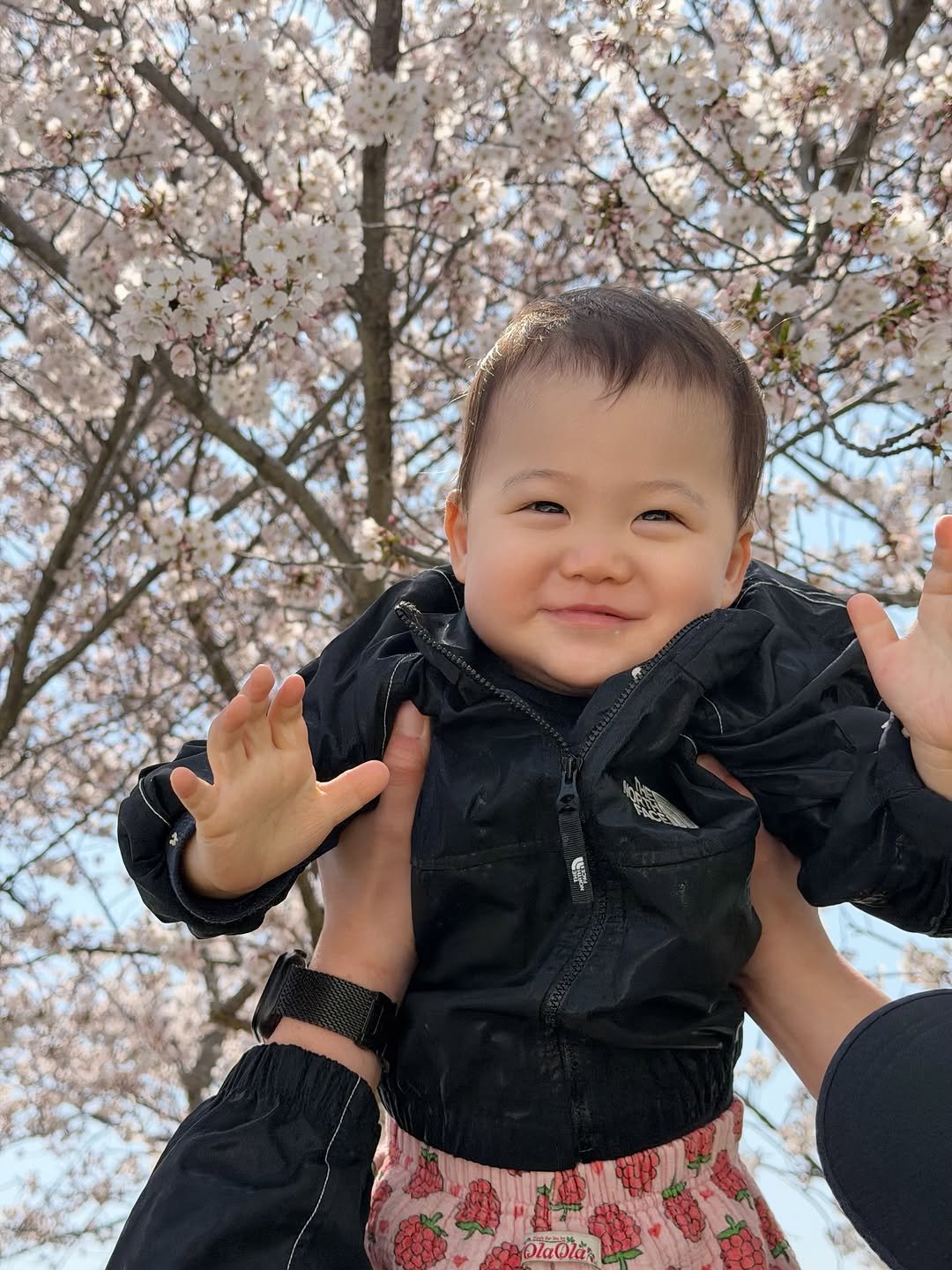 my_uoouoo 게시물 이미지: 유둥이랑 첫 벚꽃 〰 첫 글램핑 👶🏻👶🏻🌸