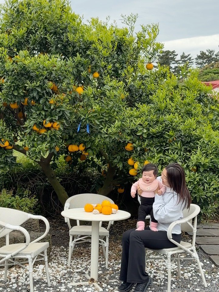mybabyautumn_ 게시물 이미지: 제주 한달살이 하면서 
진짜 몇 번을 갔는지 셀 수 없을 정도로 
자주 갔던 카페...