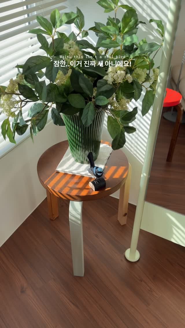 myfavehobby 게시물 이미지: 새 한 마리 데려왔어요 🐦‍⬛💙

Wildlife Garden...