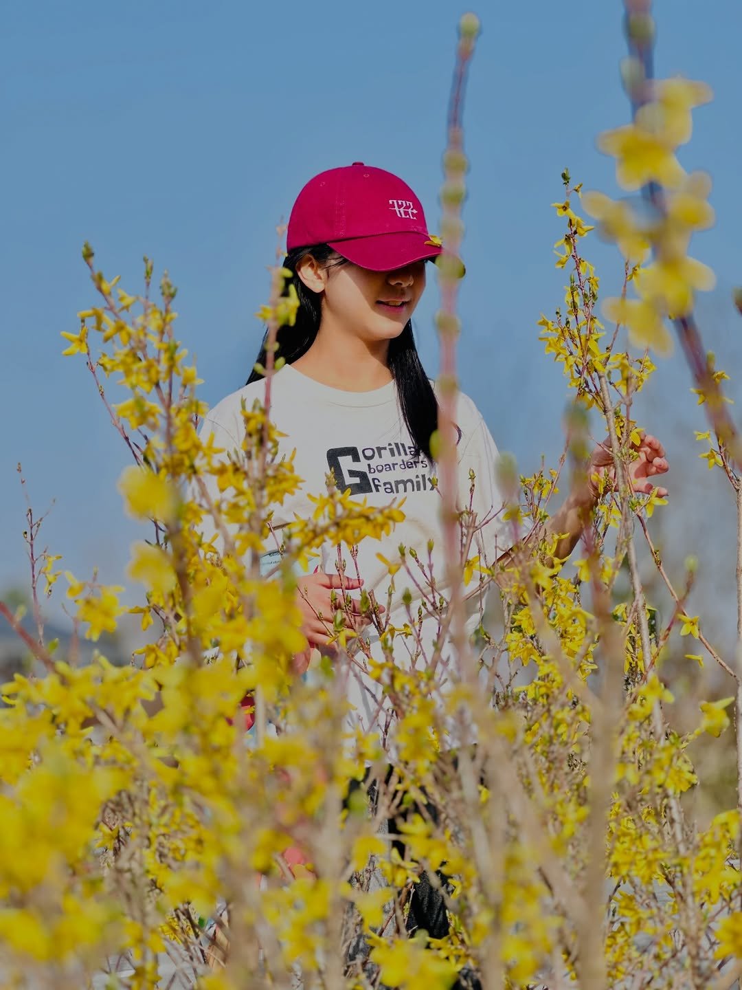 Photo shared by 어진 | ᴇᴏᴊɪɴ (ɢᴇɴᴇ) | 語珍 on March 31, 2026 tagging @gorillaboard_shop. May be an image of ‎flower, Cornelian cherry, outdoors and ‎text that says '‎٦ج C ዩ ode peamilx bc orilla boarder's der's familx‎'‎‎.