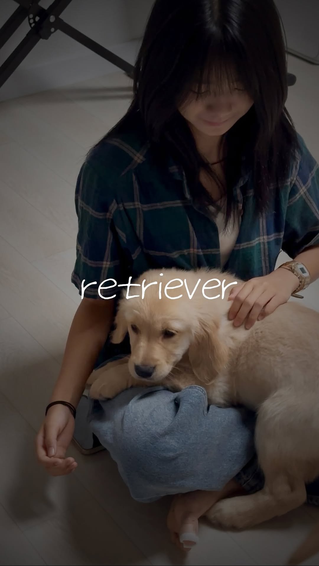 mygenediary 게시물 이미지: lowkey my new bestie 🐾🐶

#goldenretriever...