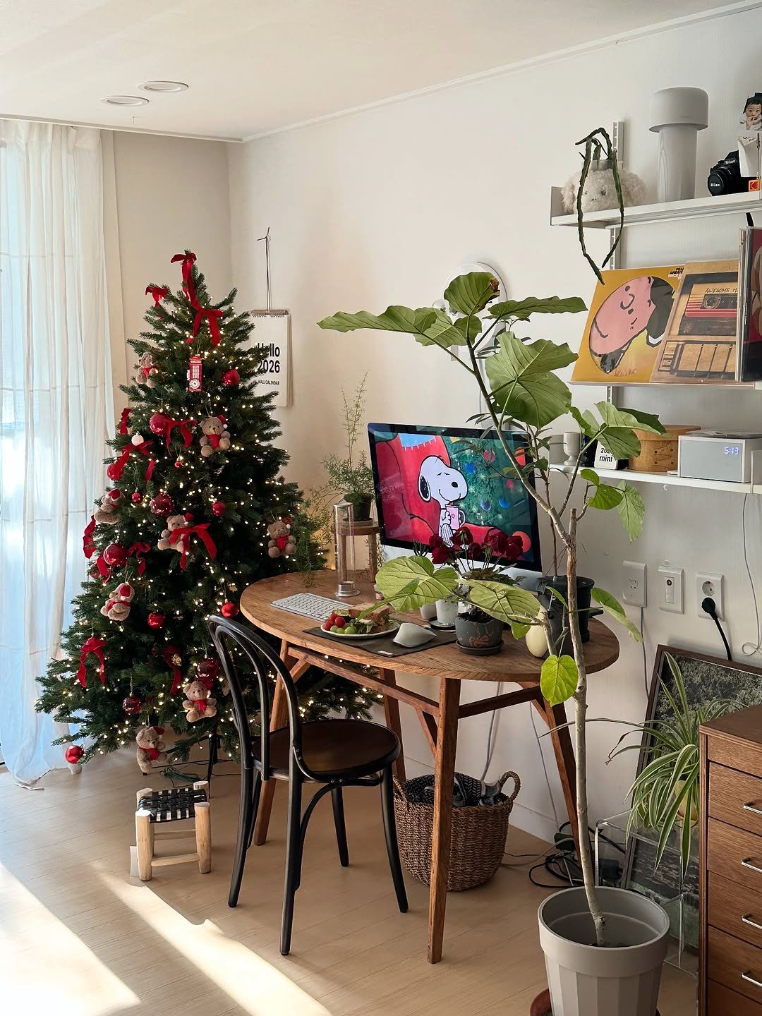 Photo shared by 혜미 ◡̈ on November 03, 2025 tagging @mebaju_bakery, and @luxiai_xmas. May be an image of christmas tree, house plant, tinsel and text.