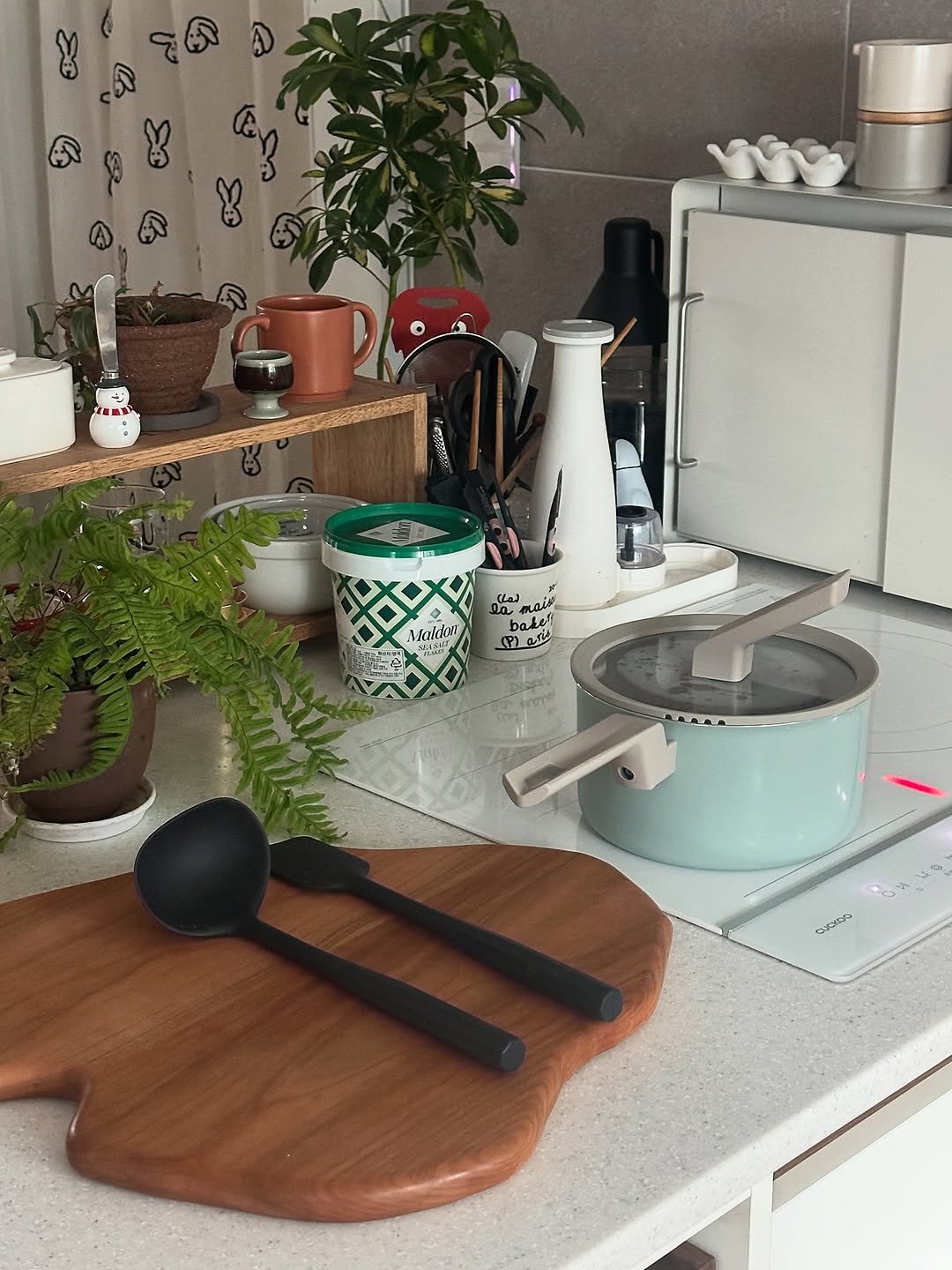 Photo shared by 혜미 ◡̈ on December 18, 2025 tagging @dorco_kitchen. May be an image of wooden spoon, coffee maker, pot, cooker, spatula, house plant, measuring cups, mistletoe cactus, kitchen and text.